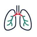 Respiratory Health